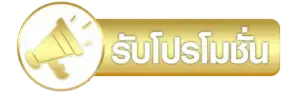 รับโปรโมชั่น